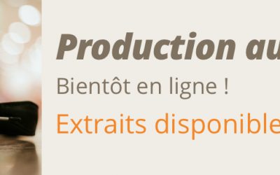 Production audio Soladar : distribution en instance