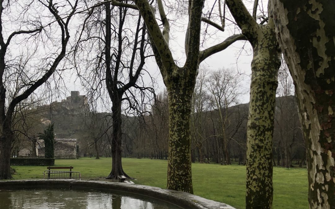 Parc et château de Brissac - Mars 2018