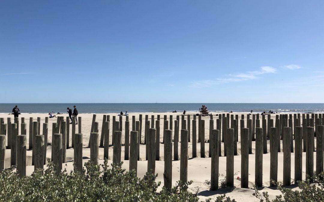 Plage de la Roquille, Carnon - Avril 2018