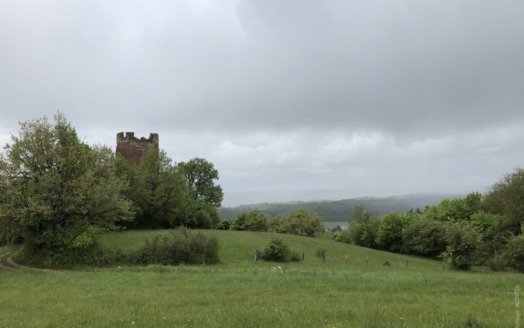 Tour de Pinet, Eyzin-Pinet - Avril 2019