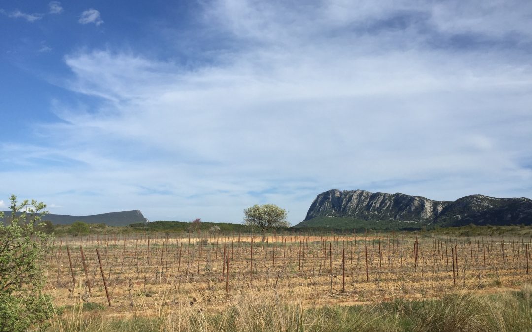 Falaise de l’Hortus et Pic Saint-Loup - Avril 2015