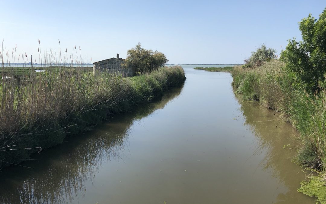 Lieu dit Mas de Roquefeuille, Mauguio - Mai 2018