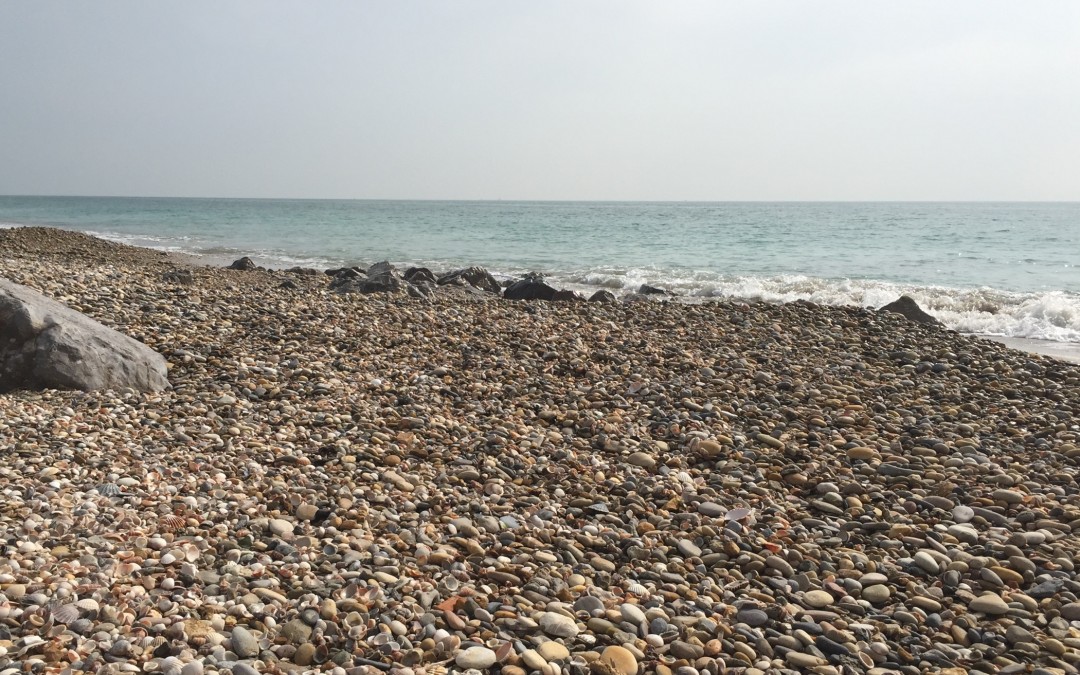 Plage de Villeneuve-lès-Maguelone – Mars 2015