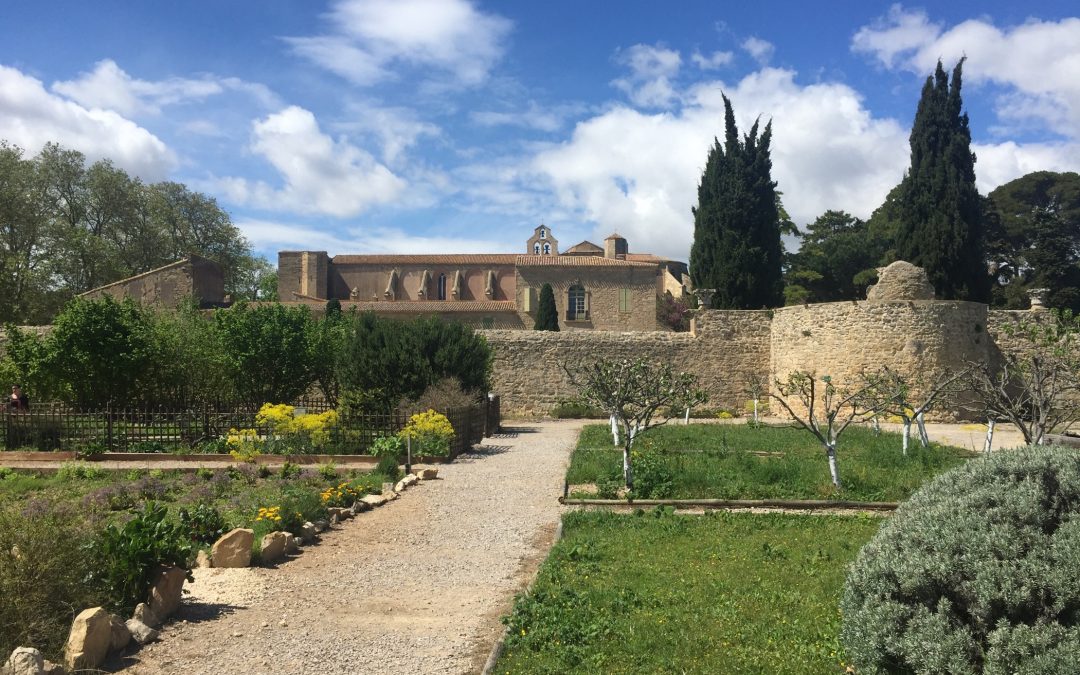 Abbaye de Valmagne - Avril 2016